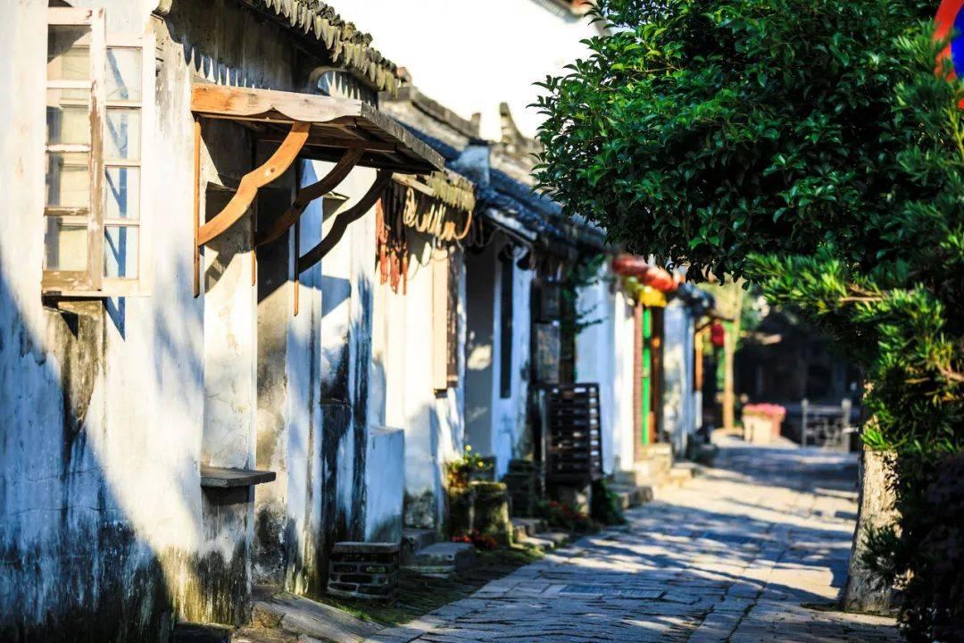 云雾高塔之重生